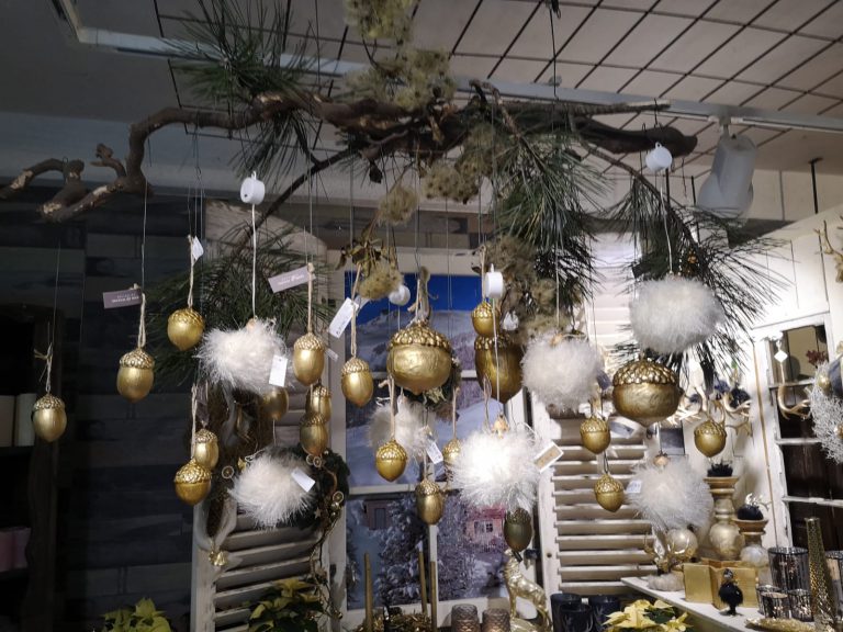 WhatsApp Image 2019-11-18 at 07.41.54(1)