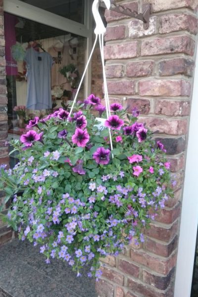 Schnittblumen_v_04_450x800