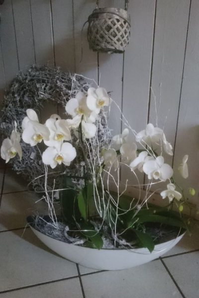 Schnittblumen_v_06_450x800